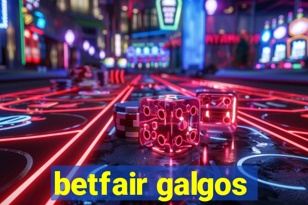 betfair galgos